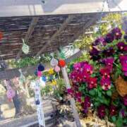 ヒメ日記 2026/01/08 15:21 投稿 もえか 木更津人妻花壇