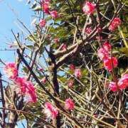 ヒメ日記 2026/01/30 14:06 投稿 もえか 木更津人妻花壇