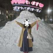 ヒメ日記 2026/02/03 00:24 投稿 もえか 木更津人妻花壇