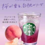 ヒメ日記 2026/02/17 12:55 投稿 もえか 木更津人妻花壇