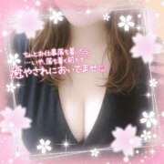 ヒメ日記 2026/02/26 18:50 投稿 もえか 木更津人妻花壇