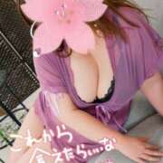 ヒメ日記 2026/03/29 16:55 投稿 もえか 木更津人妻花壇