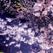 ヒメ日記 2026/04/05 20:28 投稿 もえか 木更津人妻花壇