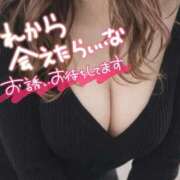 ヒメ日記 2026/04/12 12:45 投稿 もえか 木更津人妻花壇