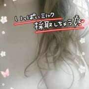 ヒメ日記 2026/04/13 18:35 投稿 もえか 木更津人妻花壇