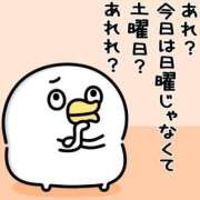 ヒメ日記 2026/09/13 01:02 投稿 もえか 木更津人妻花壇