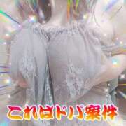 ヒメ日記 2026/09/16 18:48 投稿 もえか 木更津人妻花壇