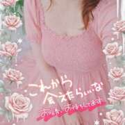 ヒメ日記 2026/09/23 14:09 投稿 もえか 木更津人妻花壇