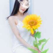 ヒメ日記 2025/08/31 21:00 投稿 橘 サブマリン