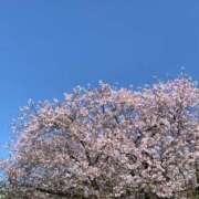 ヒメ日記 2025/04/14 12:21 投稿 大島 えみ奥様 サンキュー沼津店（サンキューグループ）