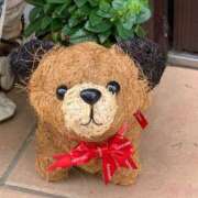 ヒメ日記 2025/06/04 10:17 投稿 大島 えみ奥様 サンキュー沼津店（サンキューグループ）