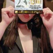 ヒメ日記 2025/11/25 12:16 投稿 マオ秘書 秘書の品格 クラブアッシュ ヴァリエ