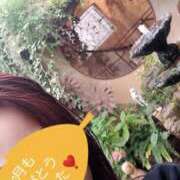 ヒメ日記 2025/11/02 15:24 投稿 ふみか 熟女家 東大阪店（布施・長田）