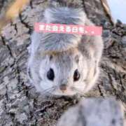 ヒメ日記 2025/01/11 01:18 投稿 佐久間ゆな 東京不倫～とうきょうふりん～