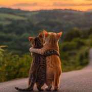 ヒメ日記 2025/02/05 01:18 投稿 佐久間ゆな 東京不倫～とうきょうふりん～