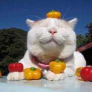 ヒメ日記 2025/05/06 13:21 投稿 佐久間ゆな 東京不倫～とうきょうふりん～