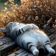 ヒメ日記 2025/05/13 00:28 投稿 佐久間ゆな 東京不倫～とうきょうふりん～