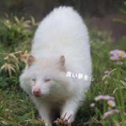 佐久間ゆな また来月に☆ 東京不倫～とうきょうふりん～