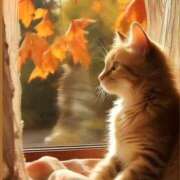 佐久間ゆな 本日から 東京不倫～とうきょうふりん～