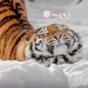 ヒメ日記 2025/12/14 12:18 投稿 佐久間ゆな 東京不倫～とうきょうふりん～