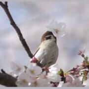 ヒメ日記 2026/03/23 13:28 投稿 佐久間ゆな 東京不倫～とうきょうふりん～