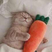 ヒメ日記 2026/03/26 23:55 投稿 佐久間ゆな 東京不倫～とうきょうふりん～