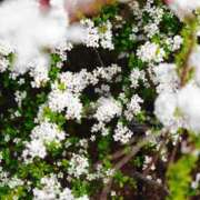 ヒメ日記 2025/02/07 18:05 投稿 ゆかり 大阪ミナミ人妻援護会