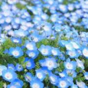 ゆかり いつもありがとうございます 大阪ミナミ人妻援護会