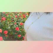 ゆかり いつもありがとうございます 大阪ミナミ人妻援護会