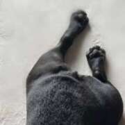 ヒメ日記 2026/01/31 13:19 投稿 はる 大阪ミナミ人妻援護会