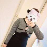 ヒメ日記 2025/03/30 12:50 投稿 みほ 風俗の神様　浜松店