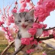 ヒメ日記 2026/03/14 10:45 投稿 ゆうDX対応♡超絶サービス ラヴァーズ