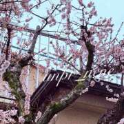 ねね ねね＊今週の出勤予定です🗓🐾 世界のあんぷり亭 鶯谷