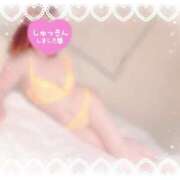 ヒメ日記 2025/03/12 09:55 投稿 妻花咲(つかさ) 可憐な妻たち 太田店