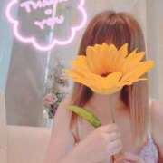 ヒメ日記 2025/08/01 15:31 投稿 妻花咲(つかさ) 可憐な妻たち 太田店