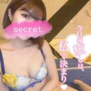 ヒメ日記 2025/04/14 10:43 投稿 夏希 VIP