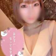 ヒメ日記 2025/04/24 10:53 投稿 夏希 VIP