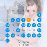 夏希 ５月のスケジュール🗓️ VIP