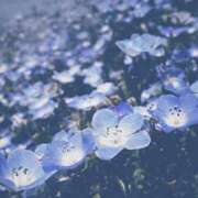 ヒメ日記 2025/12/14 11:59 投稿 みこ 恋の履歴書