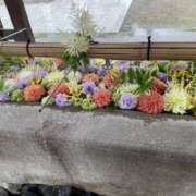 ヒメ日記 2025/12/19 17:24 投稿 みこ 恋の履歴書