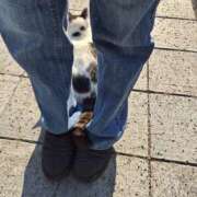 ヒメ日記 2026/01/05 19:19 投稿 みこ 恋の履歴書