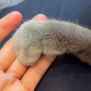 ヒメ日記 2026/01/22 12:44 投稿 みこ 恋の履歴書