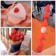 ヒメ日記 2026/02/21 22:07 投稿 みこ 恋の履歴書