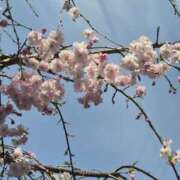 ヒメ日記 2026/04/07 08:25 投稿 みこ 恋の履歴書