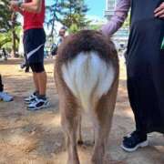 ヒメ日記 2025/05/06 23:45 投稿 ふみ 即アポ奥さん ～津・松阪店～