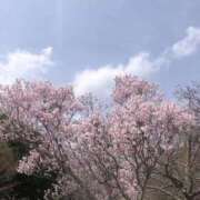 ふみ ありがとうございました🙇‍♀️ 即アポ奥さん ～津・松阪店～