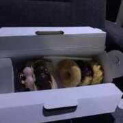 ヒメ日記 2026/04/13 11:04 投稿 ふみ 即アポ奥さん ～津・松阪店～