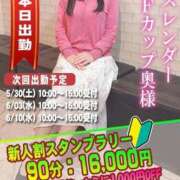 ヒメ日記 2026/05/27 09:46 投稿 まゆ奥様 人妻倶楽部　日本橋店