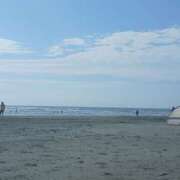 ヒメ日記 2025/08/20 16:42 投稿 すみれ 錦センター