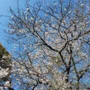 ヒメ日記 2025/04/09 19:57 投稿 香奈 素人妻達☆マイふぇらレディー